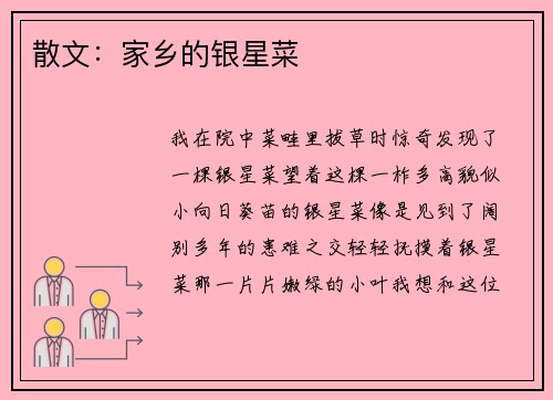 散文：家乡的银星菜